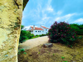 Quinta da Vergueira, Figueiró Dos Vinhos